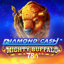 Premium Interface 78n